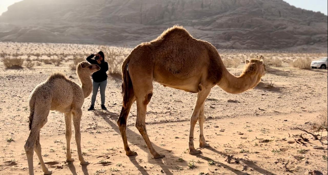 Wadi Rum Protected Area Camp Buitenkant foto