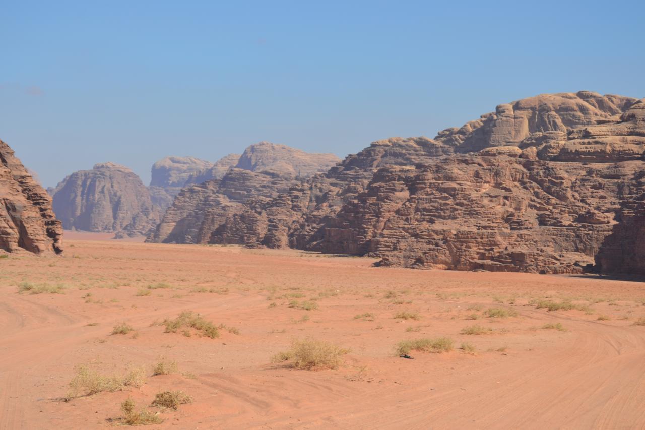 Wadi Rum Protected Area Camp Buitenkant foto