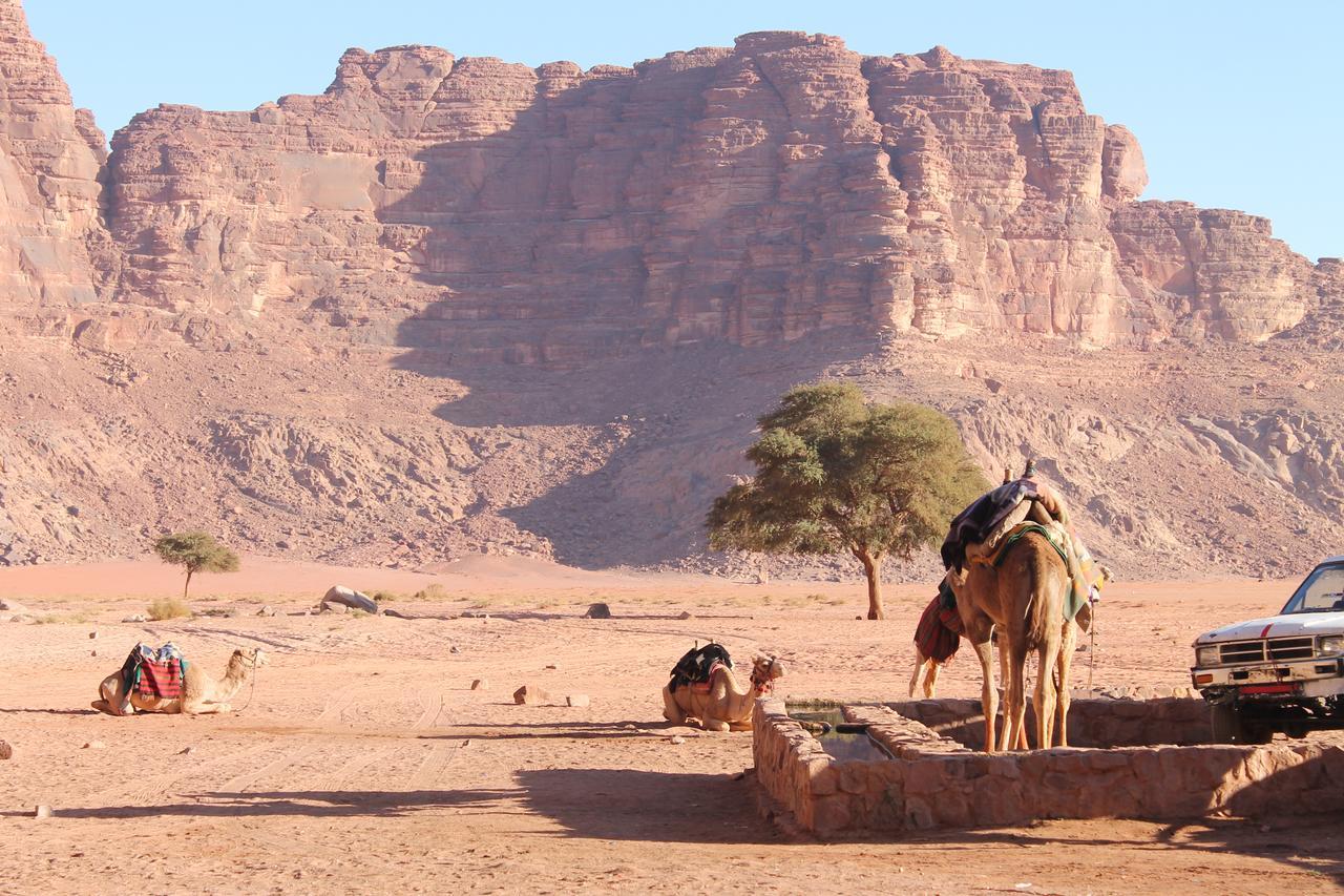 Wadi Rum Protected Area Camp Buitenkant foto