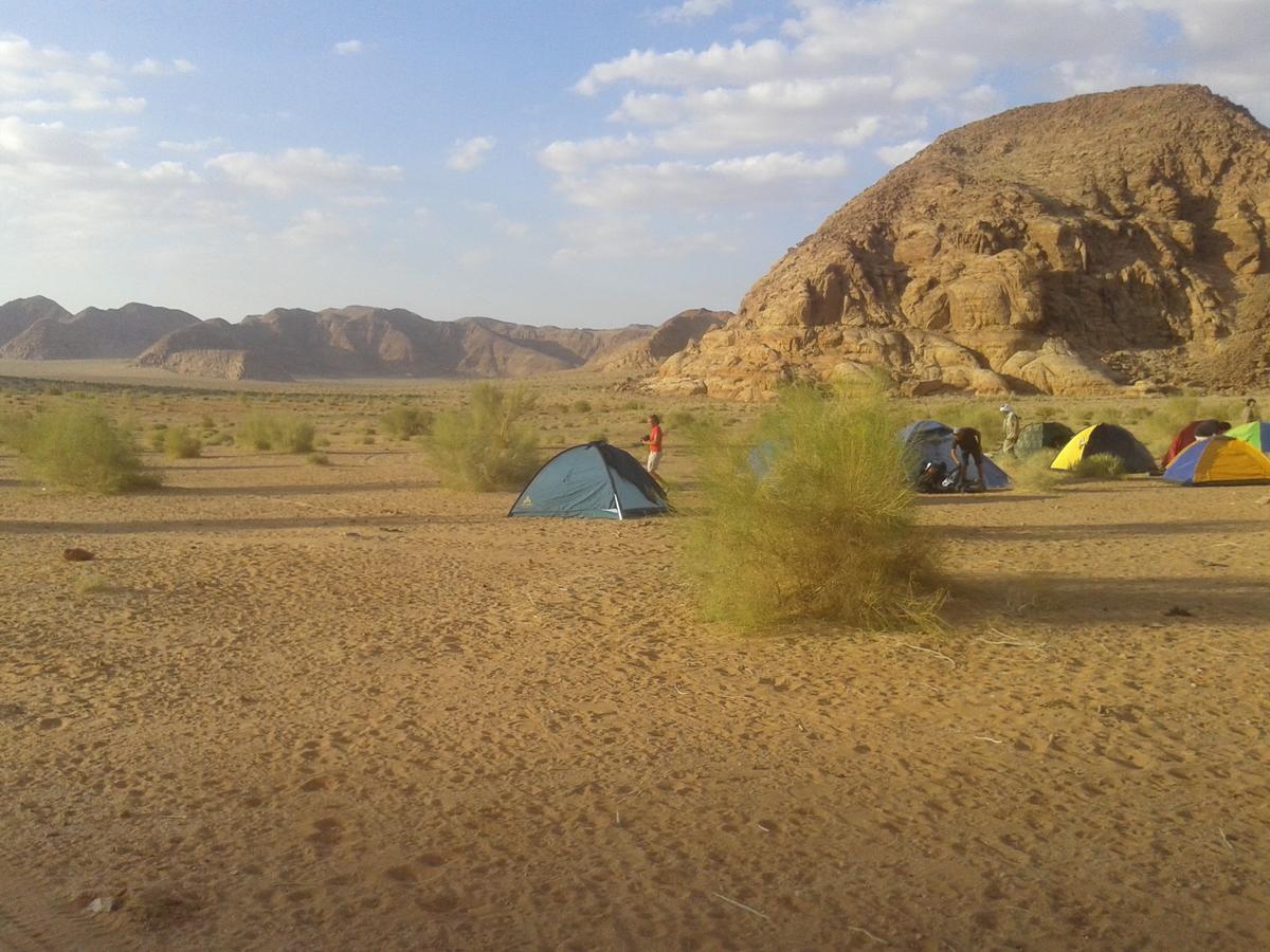 Wadi Rum Protected Area Camp Buitenkant foto