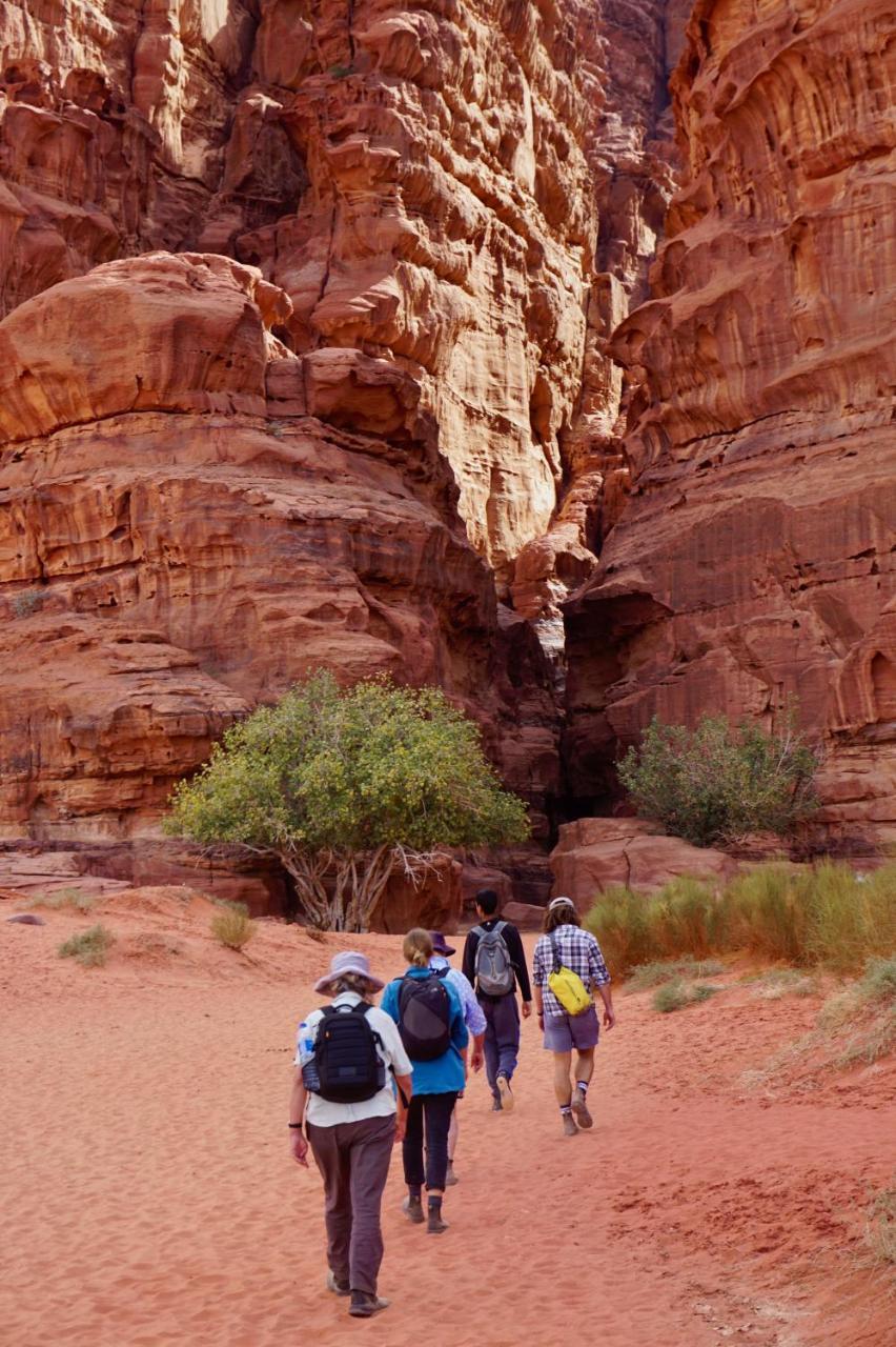 Wadi Rum Protected Area Camp Buitenkant foto